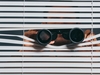 fot. Adobe Stock/d
